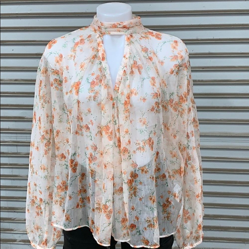 Zara Basic Collection size medium sheer floral top - image 3